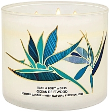 Fragrances, Perfumes, Cosmetics Scented Candle - Bath & Body Works Ocean Driftwood Scented Candle