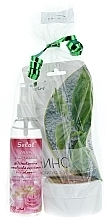 Fragrances, Perfumes, Cosmetics Set No. 2 - Selal (serum/100ml + cr/50ml + mask/100g)