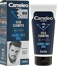 Anti-Grey Hair Shampoo for Men - Delia Cameleo Men Against Grey Hair Shampoo — photo N1