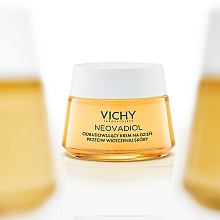 Replenishing Lifting Day Face Cream - Vichy Neovadiol Replenishing Anti-Sagginess Day Cream — photo N7