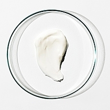 Face Cream - Grown Alchemist White Tea & Phyto-Peptide Age-Repair Moisturiser — photo N4