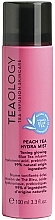 Face Spray - Teaology Blue Tea Peach Tea Hydra Mist — photo N1