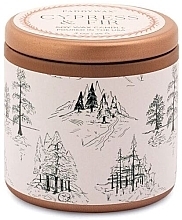 Fragrances, Perfumes, Cosmetics Scented Candle in Jar 'Cypress & Fir' - Paddywax Cypress & Fir Copper Tin Candle White With Green Toile Pattern