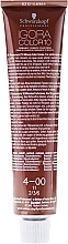 Hair Color - Schwarzkopf Professional Igora Color 10 — photo N2