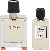 Hermes Terre dHermes - Set (edt/50ml + sh/gel/40ml) — photo N3