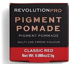 Fragrances, Perfumes, Cosmetics Pigmented Lipstick - Revolution Pro Pigment Pomade