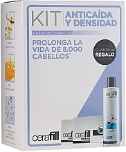 Fragrances, Perfumes, Cosmetics Set - Redken Cerafill Anticaida Y Densidad Kit (shm/290ml + hair/advance/20*6ml)