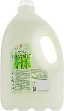 Bamboo Extract Conditioner - Lovien Essential Bamboo Hair Treatment — photo N3