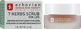 Gentle Lip Scrub "7 Herbs" - Erborian Aux 7 Herbes Scrub For Lips — photo N1