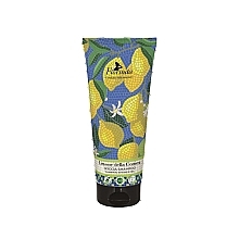 Coastal Lemon Shower Gel - Florinda Shampoo Shower Gel — photo N1