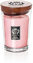 Fragrances, Perfumes, Cosmetics Succulent Pink Grapefruit Scented Candle - Vellutier Succulent Pink Grapefruit