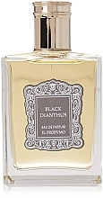 Fragrances, Perfumes, Cosmetics Il Profvmo Black Dianthus - Eau de Parfum