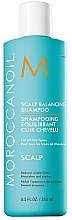 Balancing Scalp Shampoo - MoroccanOil Scalp Balancing Shampoo — photo N1