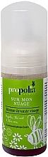 Fragrances, Perfumes, Cosmetics Face Cleansing Foam - Propolia Organic Cleansing Foam