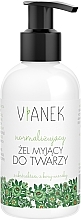 Fragrances, Perfumes, Cosmetics Normalizing Face Gel - Vianek Normalizing Washing Face Gel