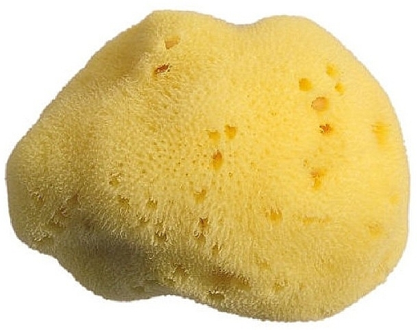 Body Sponge, 7 cm - Himalaya dal 1989 Alcea Spugna Di Mare Fine Right — photo N1