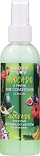 No Rinse Avocado Hair Conditioner - Body With Love 2-Phase Hair Confitioner Awocado — photo N1