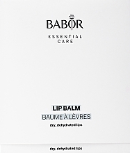 Set - Babor Essential Care Lip Balm (lip balm/12x4g) — photo N1