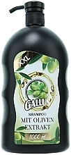 Fragrances, Perfumes, Cosmetics Olive Shampoo - Gallus Shampoo Oliver