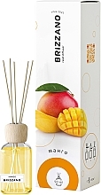 Fragrances, Perfumes, Cosmetics Dyfuzor zapachowy Mango - Brizzano