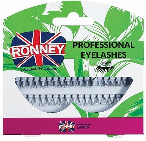 Individual Lashes Kit - Ronney Professional Eyelashes 00031 — photo N1