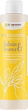 Fragrances, Perfumes, Cosmetics Hair Shampoo "Sage and Lemon" - La Saponaria Salvias & Limone Bio Shampoo