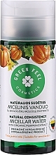 Fragrances, Perfumes, Cosmetics Pumpkin Micellar Water - Green Feel's Micellar Water