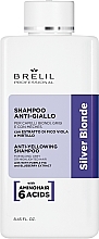 Fragrances, Perfumes, Cosmetics No Yellow Shampoo - Brelil Silver Blonde Treatment Anti-Yellowing Shampoo