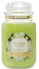 Fragrances, Perfumes, Cosmetics Scented Candle in Jar - Yankee Candle Honeydew Melon