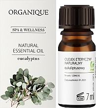 Eucalyptus Essential Oil - Organique Spa & Wellness Natural Essential Oil Eucalyptus  — photo N2