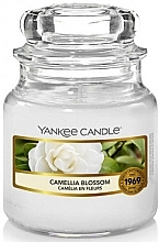 Scented Candle - Yankee Candle Camellia Blossom — photo N2