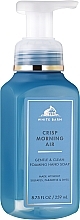 Fragrances, Perfumes, Cosmetics Liquid Hand Soap - Bath and Body Works Crisp Morning Air Gentle Foaming Hand Soap