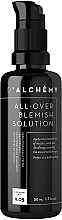 Cream for Oliy and Combination Skin - D’alchemy All Over Blemish Solution — photo N1