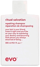 Fragrances, Perfumes, Cosmetics Shampoo for Colored Hair - Evo Ritual Salvation Repairing Shampoo