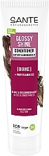 Fragrances, Perfumes, Cosmetics Hair Shine Bio Conditioner with Protein Complex & Birch Leaves - Sante Glossy Shine Conditioner	