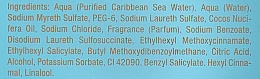 Shower Gel "Sea Breeze" - Ligne St Barth Sea Breeze Blue Lagoon Shower Gel — photo N2