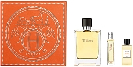 Fragrances, Perfumes, Cosmetics Hermes Terre D'Hermes - Set (edt/100ml+edt/15ml+sh/gel/40ml)