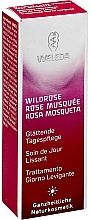 Fragrances, Perfumes, Cosmetics Smoothing Day Care - Weleda Wildrose Glättende Tagespflege