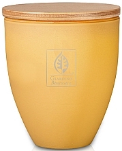 Giardino Benessere Mister Colonia - Perfumed Candle in a Glass — photo N1