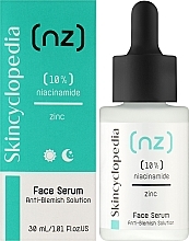 Anti-Pigmentation Face Serum with Niacinamide & Zinc - Skincyclopedia Blemish-Soothing Face Serum With 10% Niacinamide And 1% Zinc — photo N2