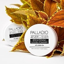 Illuminating Powder - Palladio 4 Ever+Ever Brightening Loose Setting Powder — photo N2