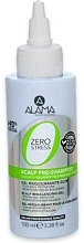 Fragrances, Perfumes, Cosmetics Detox Shampoo - Alama Zero Stress Detox Pre-Shampoo