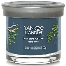 Fragrances, Perfumes, Cosmetics Scented Candle in Glass 'Bayside Cedar' - Yankee Candle Singnature