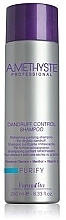 Fragrances, Perfumes, Cosmetics Anti-Dandruff Shampoo - Farmavita Amethyste Purify Dandruff Control Shampoo
