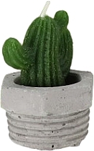 Fragrances, Perfumes, Cosmetics Decorative Candle 'Cactus', 7.5x5.5 cm, option 2 - Top Choice