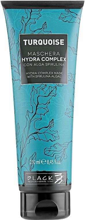 Repair Hair Mask - Black Professional Line Turquoise Hydra Complex Mask — photo N1