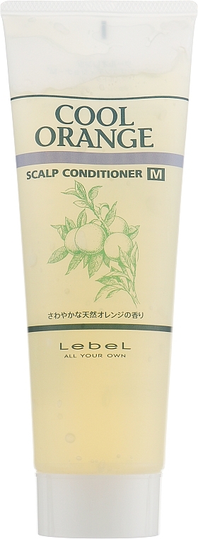 Cleanser for Dry Scalp - Lebel Cool Orange Conditioner — photo N3