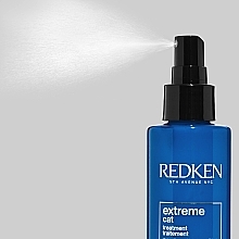 Hair Spray - Redken Extreme Cat Protein Treatment — photo N6