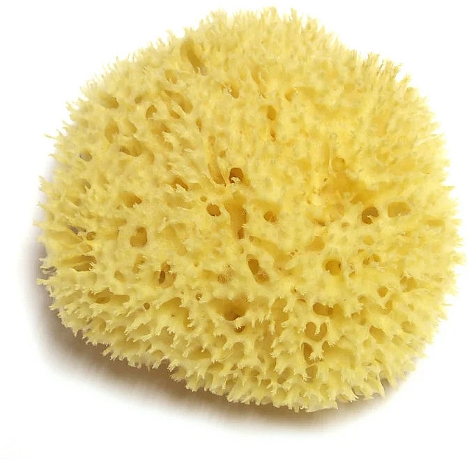 Bath Sponge - Hydrea London Honeycomb Sea Sponge Premium Quality — photo N1