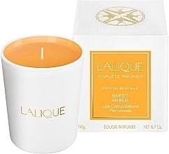 GIFT! Lalique Les Compositions Parfumees Sweet Amber - Scented Candle (tester) — photo N1